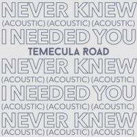 Temecula Road - Never Knew I Needed You (Acoustic)