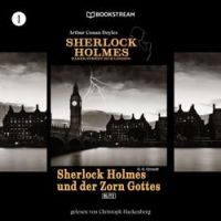 Arthur Conan Doyle - Kapitel 2 (Teil 5) - Sherlock Holmes und der Zorn Gottes