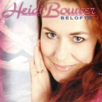 Heidi Bouwer - Perspektief