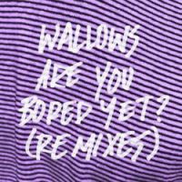 Wallows - Are You Bored Yet? (feat. Clairo) [Big Data Remix]