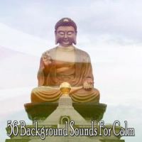 Asian Zen Spa Music Meditation - The Leaky Metal Barrel