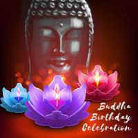 Buddhism Academy - Rainbow Glimmer