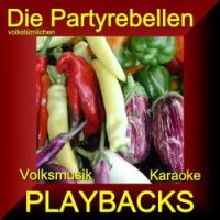 Die Volkstümlichen Partyrebellen - Jetzt Kommen Die Lustigen Tage (Playback With Choir - Playback Mit Chor)