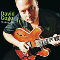 David Gogo - Fool For You