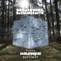 Drumsound & Bassline Smith - Daylight (Tom Swoon Remix)