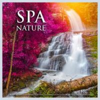 Spa Music Relaxation - Peaceful Forest Spa Music