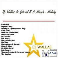 Dj Wallas & Gabriel B & Morph - Melody (Dark Fox Productions Latino Remix)