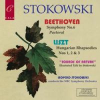 NBC Symphony Orchestra - Three Hungarian Rhapsodies: No. 3 in D Major