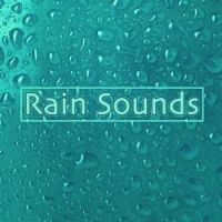 Sleep Sound Library - Rain: Soothing Sleep