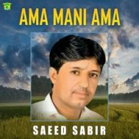 Saeed Sabir - Do Dila Nela