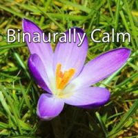 Binaural Beats Sleep - Soothing Symbols Of Sanctity