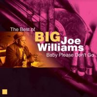 Big Joe Williams - Wild Cow Blues