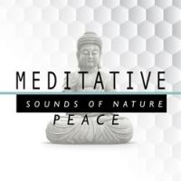 Nature Spa Meditation Music - Stream Through the Trees