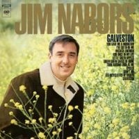 Jim Nabors - Didn't We