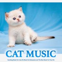 Cat Music - Background Sleeping Music For Cats