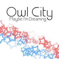 Owl City - Rainbow Veins