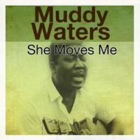 Muddy Waters - Mean Red Spider