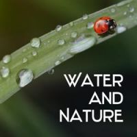 Water World - Drip