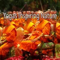 Yoga Namaste - Inner Discovery