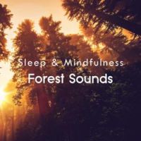 Sleepy Times - Forest Sleep and Relaxing Sounds, Pt. 36