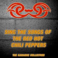 The Karaoke Collection - Universally Speaking (Karaoke Version In the Style of the Red Hot Chili Peppers)