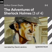 Arthur Conan Doyle - The Adventure of the Blue Carbuncle (Part 110)