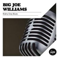 Big Joe Williams - Wild Cow Blues (Remastered)
