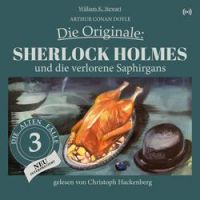 Arthur Conan Doyle - Kapitel 34 - Sherlock Holmes und die verlorene Saphirgans