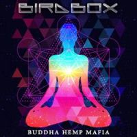 Bird Box - Soundscan (Original Mix)