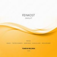 Feinkost - Destiny (Klang Allianz Remix)