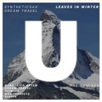 Dream Travel - Leaves in Winter (Banderich Artem Remix)
