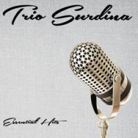 Trio Surdina - Rio (Original Mix)