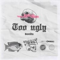 Too Ugly - A Chance