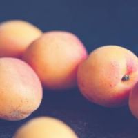 Peach Fuzz - The City's Labor