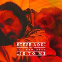 Steve Aoki - Lie To Me