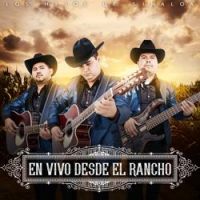 Los Hijos De Sinaloa - Y Te Vi Con El (En Vivo)